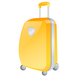 valise